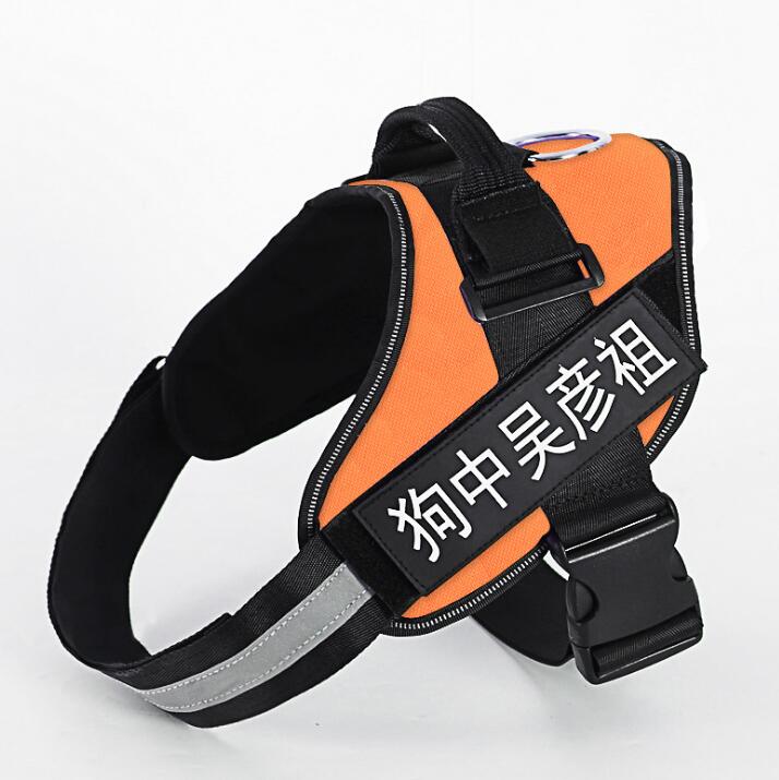 Arnés Antipull Personalizado para Perros