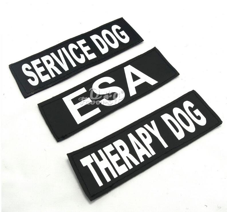 Arnés Antipull Personalizado para Perros