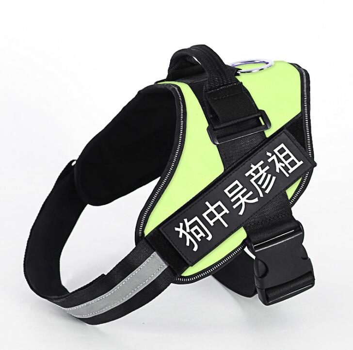 Arnés Antipull Personalizado para Perros