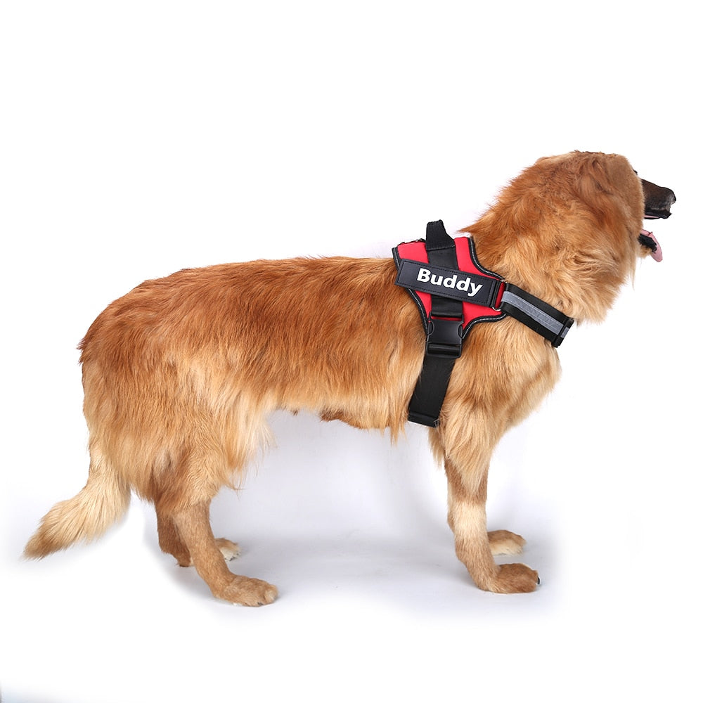 Arnés Antipull Personalizado para Perros