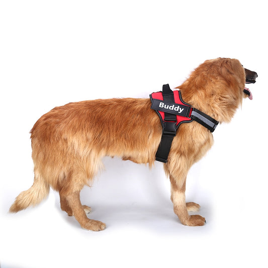Arnés Antipull Personalizado para Perros